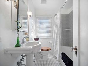 Shower, hair dryer