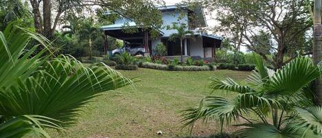 A house with a covered porch, surrounded by lush greenery and palm trees.