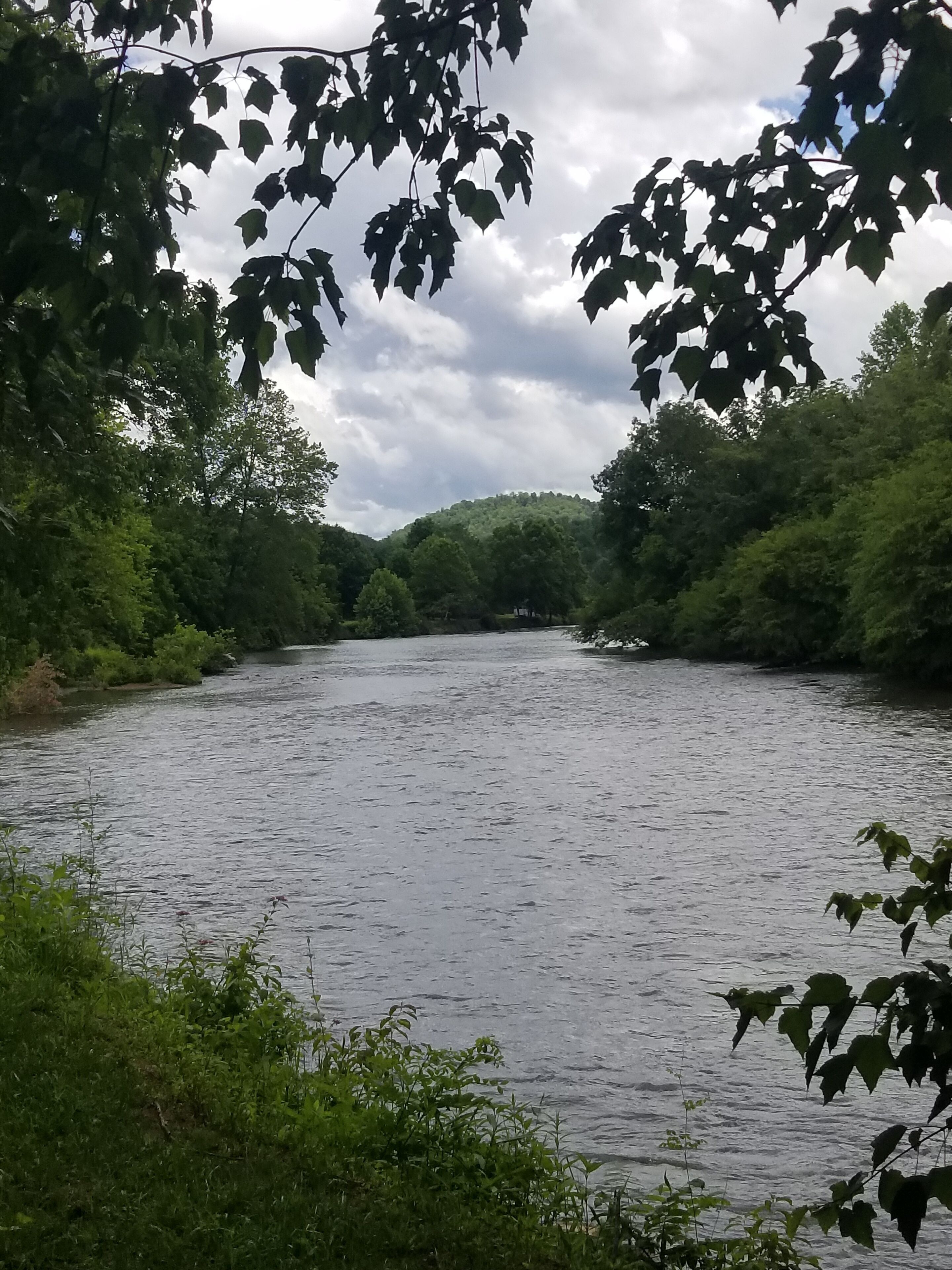 Une rivière bordée d’une végétation luxuriante et d’arbres.