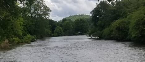 Une rivière bordée d’une végétation luxuriante et d’arbres.
