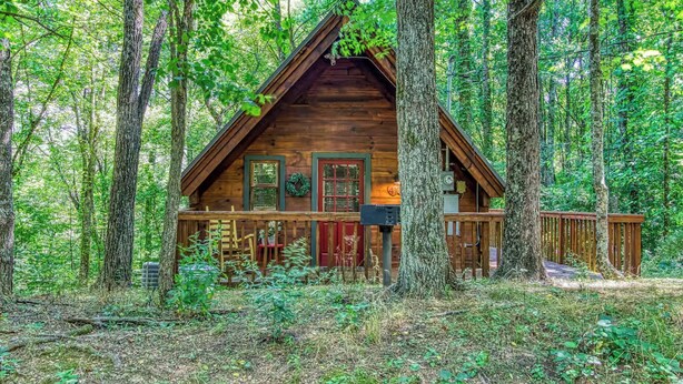 Eine Holzhütte, umgeben von hohen Bäumen in einem Wald.