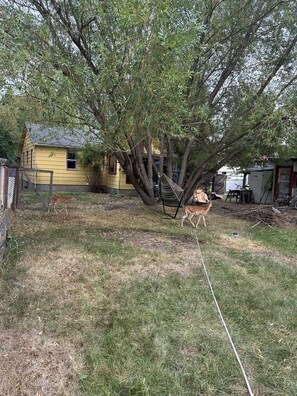 Property grounds