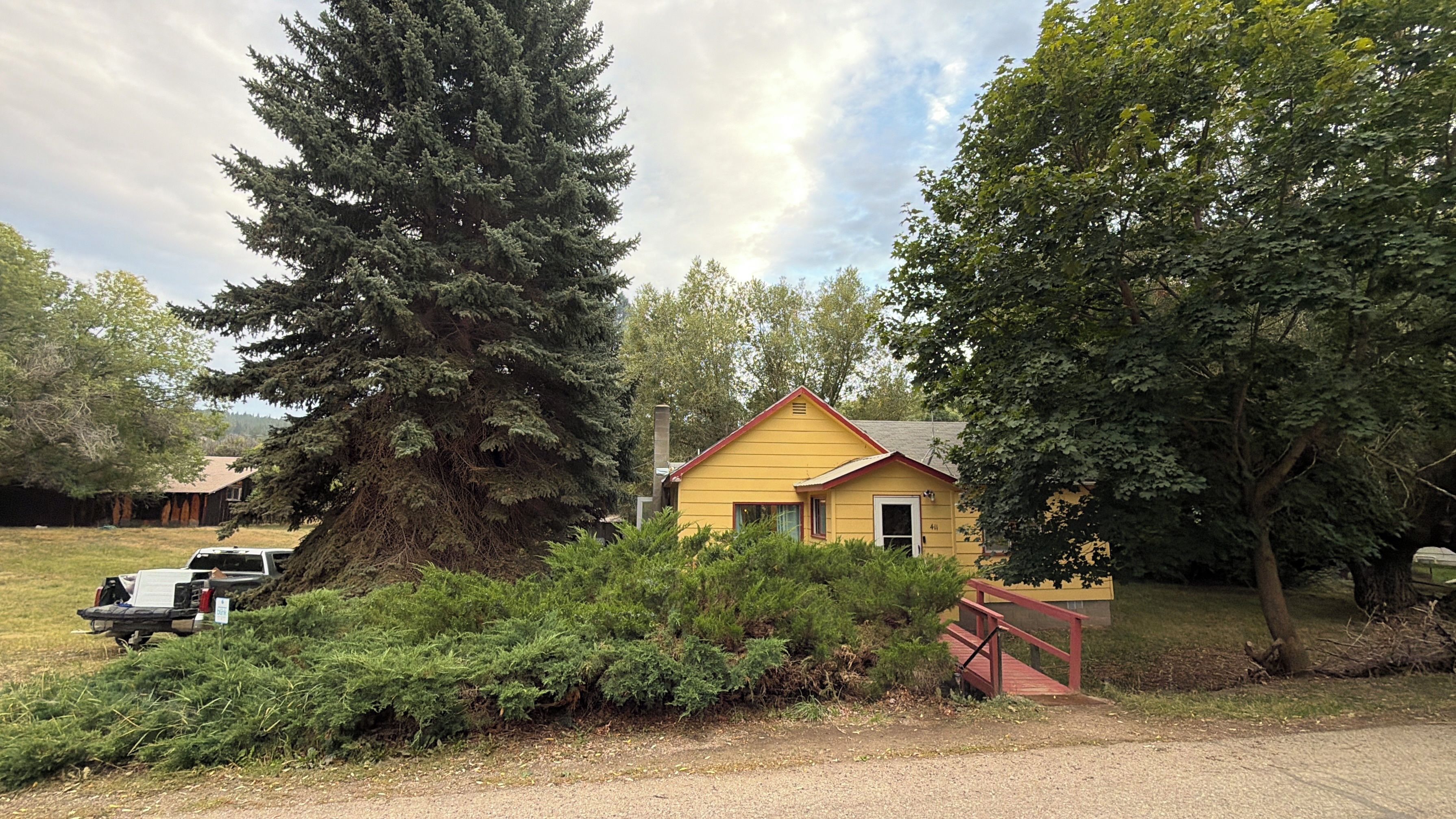 A yellow house with a red roof, surrounded by dense greenery and a large evergreen tree.