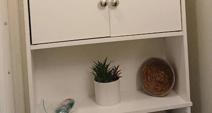 Tiny Retreat by the Park