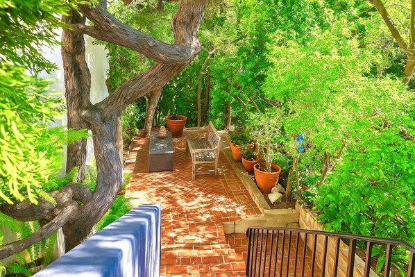 Terraza o patio