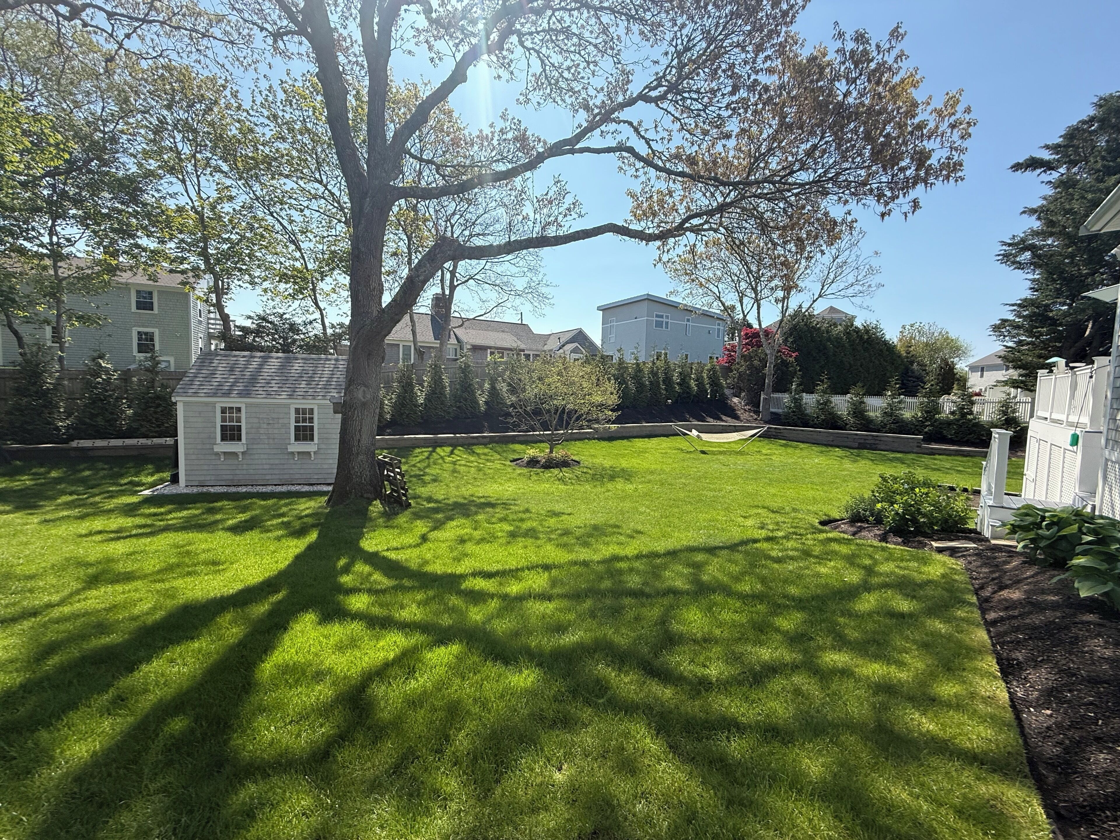A well-maintained lawn with a hammock, a small shed, and a tree providing shade.