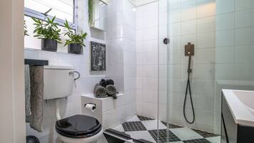 Douche, sèche-cheveux, serviettes fournies, savon