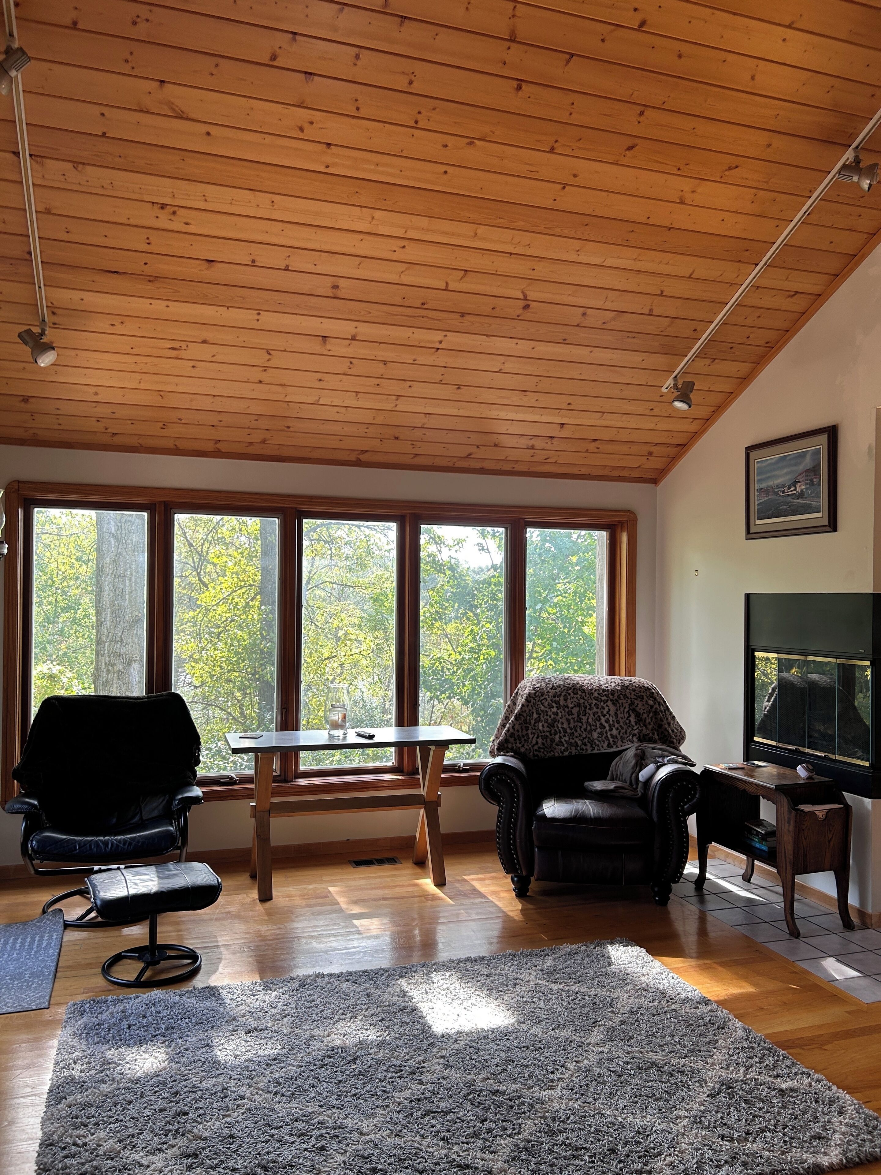 Smart TV, fireplace, DVD player, music library