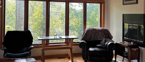 Älytelevisio, takka, DVD-soitin, musiikkikirjasto