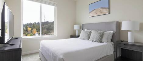 2 bedrooms, desk, iron/ironing board, WiFi