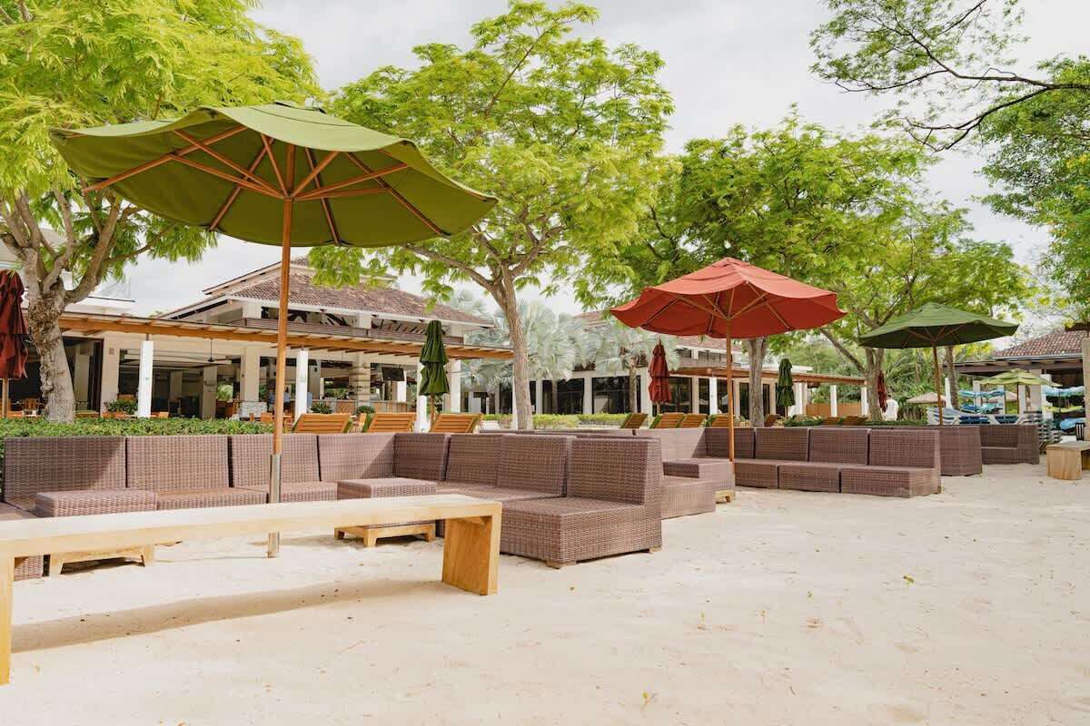 Terras