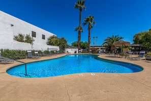 A swimming pool with lounge chairs and palm trees.