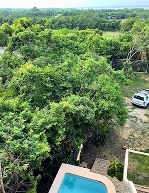 Área da propriedade