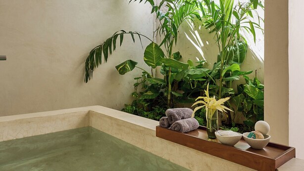 Un área de spa con una bañera de hidromasaje rectangular, una bandeja de madera con toallas y un jarrón de flores, y exuberantes plantas verdes al fondo.