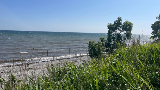 Une plage avec un ciel dégagé et une mer calme.