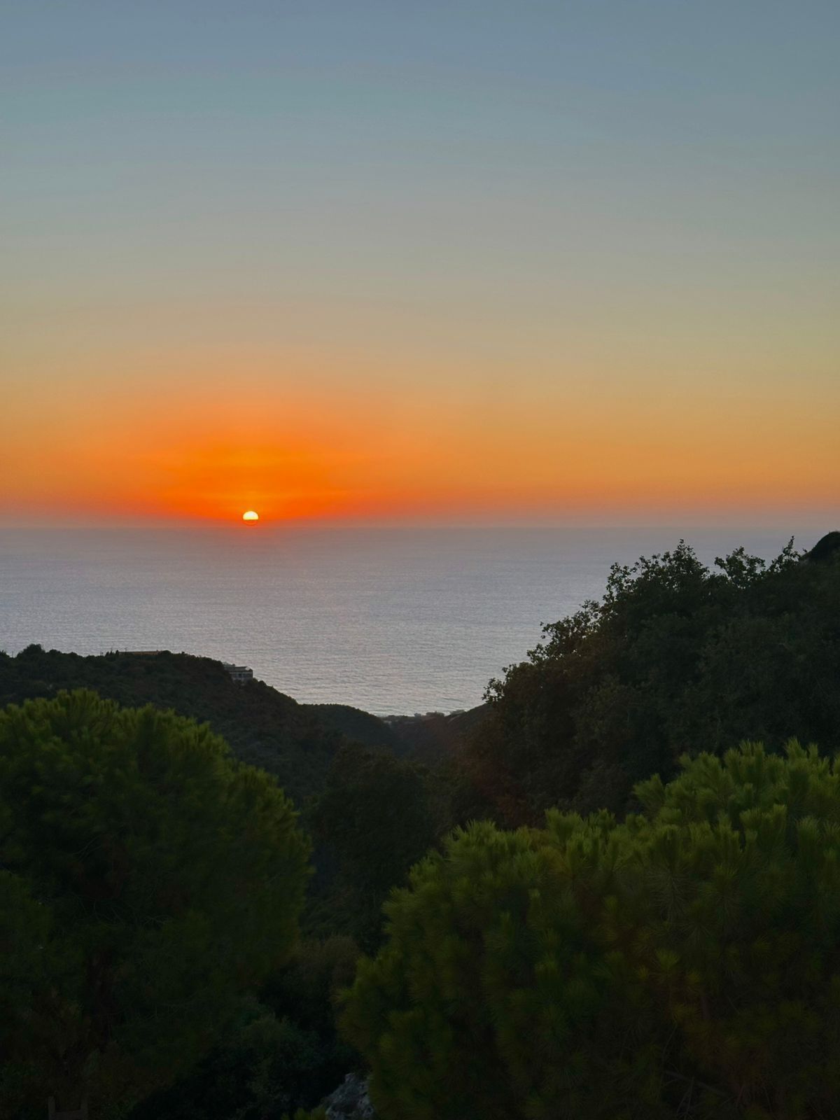Un atardecer sobre un paisaje costero con abundante vegetación en primer plano.