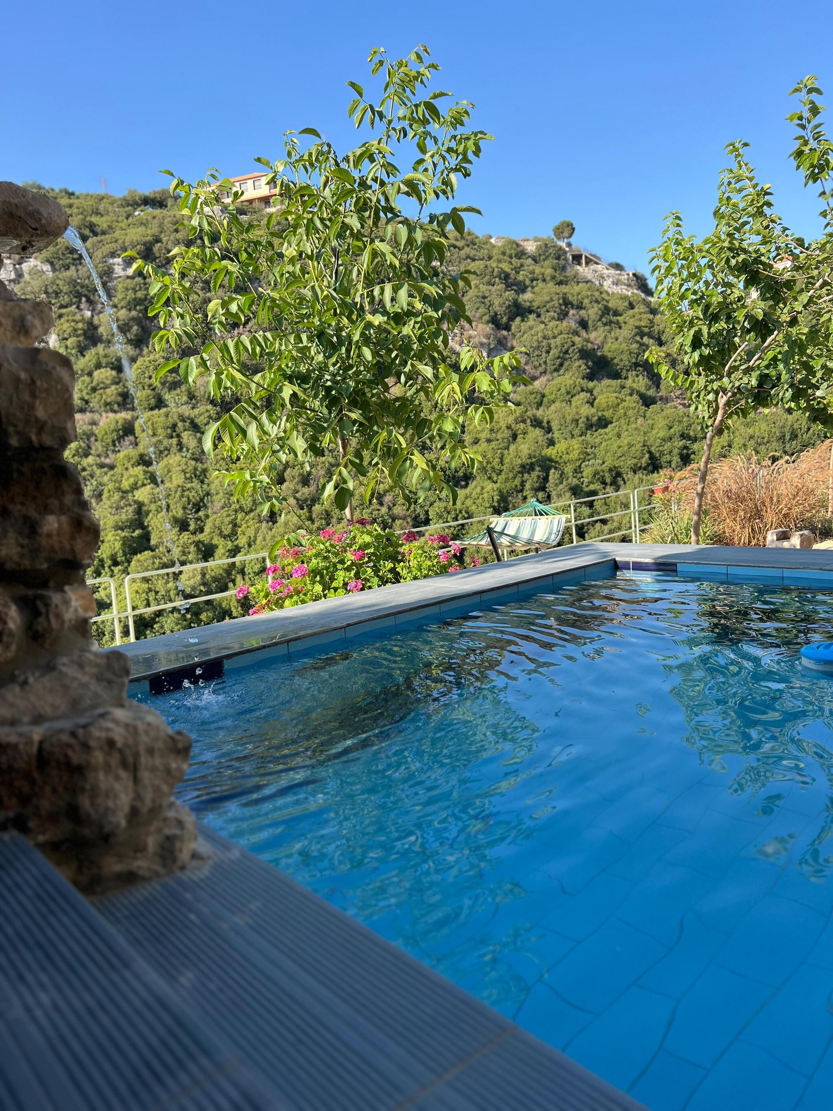 A swimming pool with clear water, surrounded by a stone wall and lush greenery.