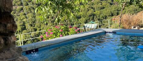 A swimming pool with clear water, surrounded by a stone wall and lush greenery.