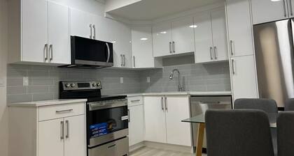 Newly Renovated legal 2BR Basement suite in Seton, SE Calgary