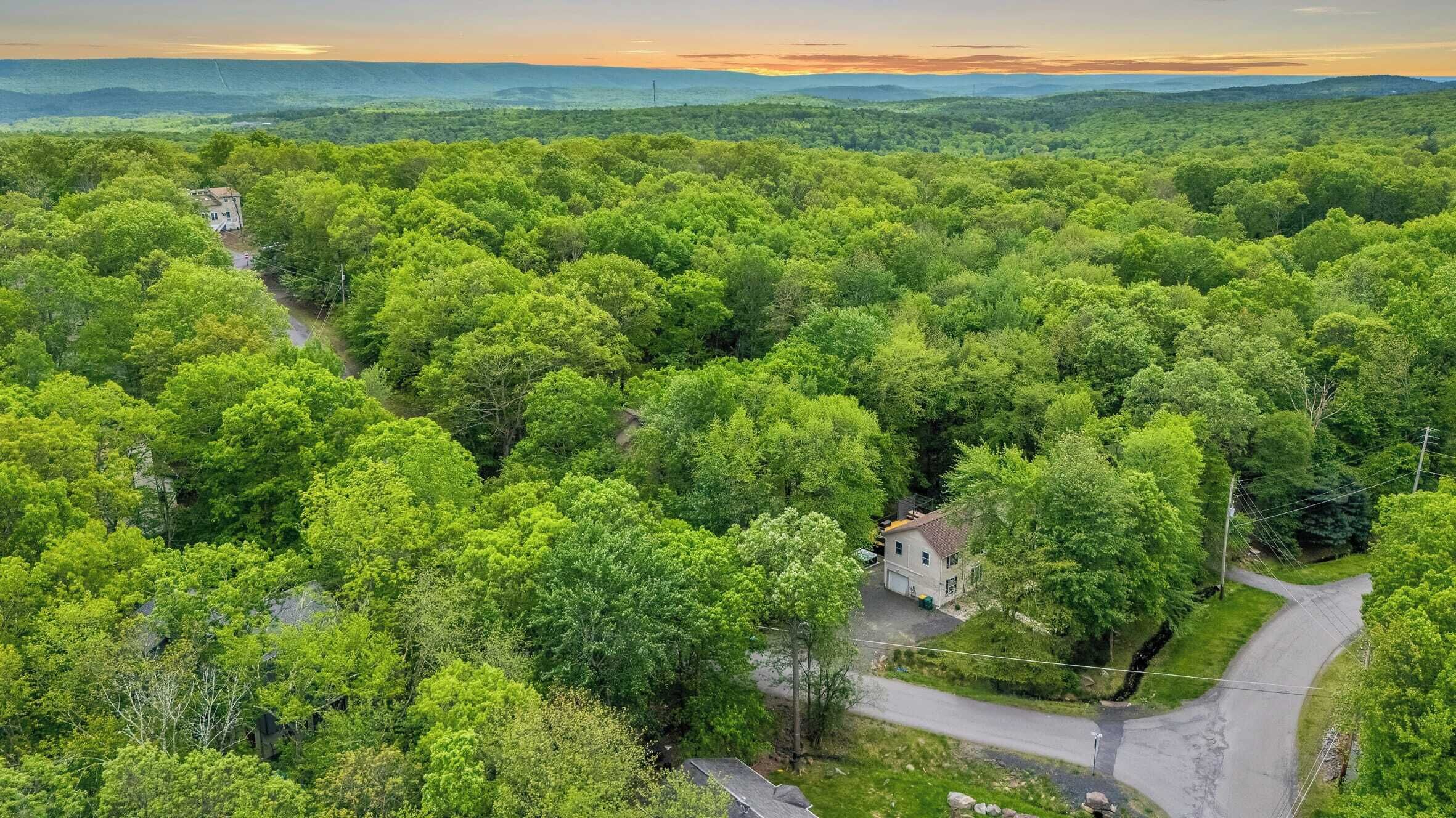 Una casa rodeada por un bosque frondoso con un camino sinuoso.