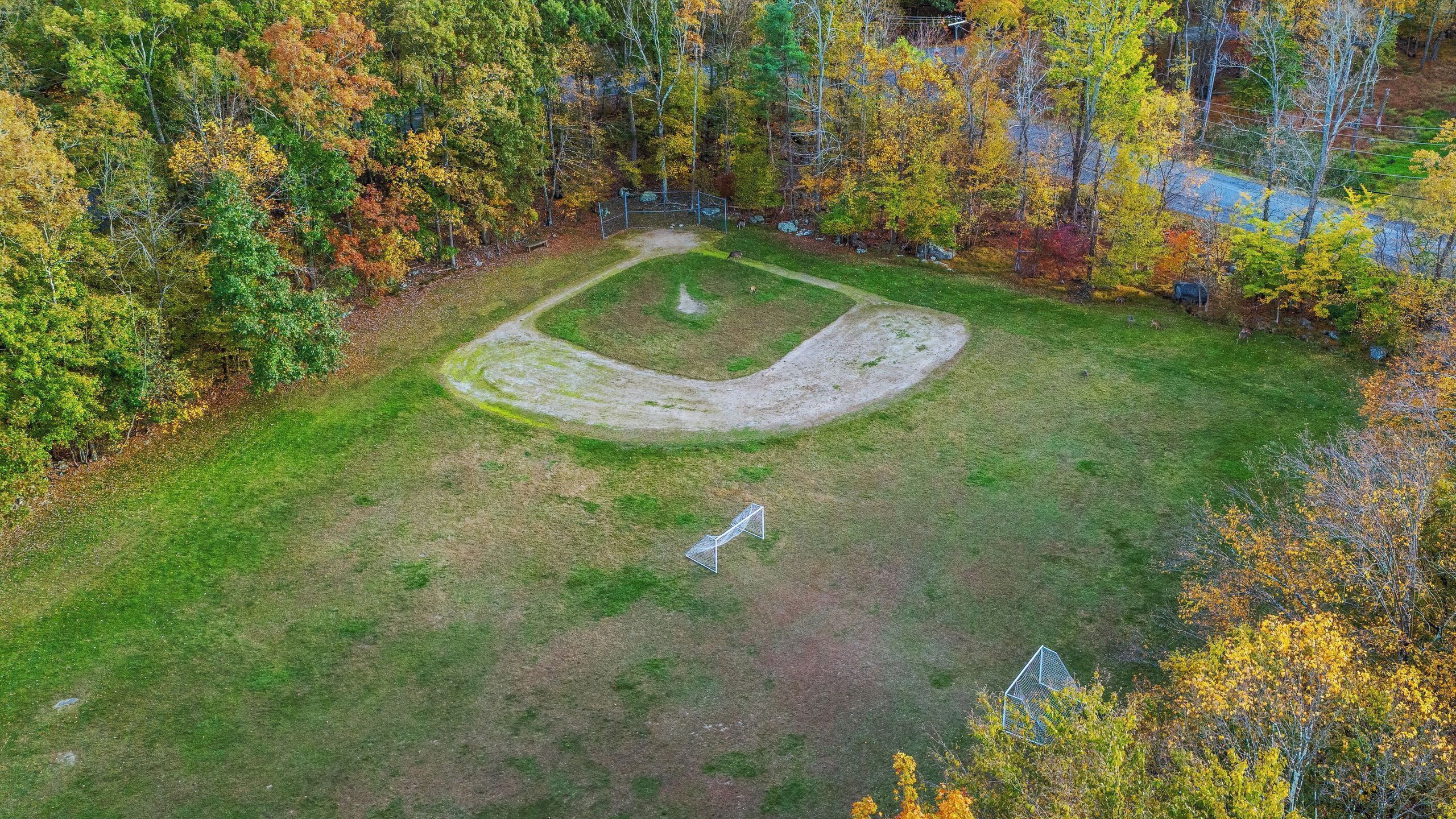 An aerial view of a park with a grassy area, a fenced play structure, and surrounding trees.