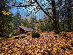 Àrea exterior de l'allotjament