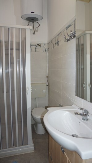 Shower, hair dryer, soap, toilet paper