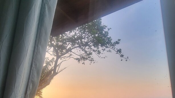 Une terrasse en bois dotée d’une rambarde, offrant une vue sur un paysage luxuriant, avec des arbres et un ciel dégagé.