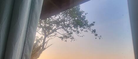 Àrea exterior de l'allotjament