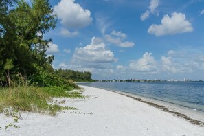 Beach - Lido by the Beach (Sarasota)