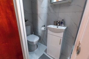Secador de cabelo, toalhas de banho, sabonete, papel higiênico