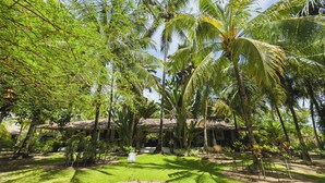 Een tropisch resort met palmbomen, een gebouw met een pannendak en een verzorgd gazon.