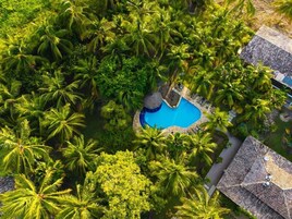 Vista aérea de un resort con una piscina central rodeada de exuberantes palmeras y un edificio con techo de paja.