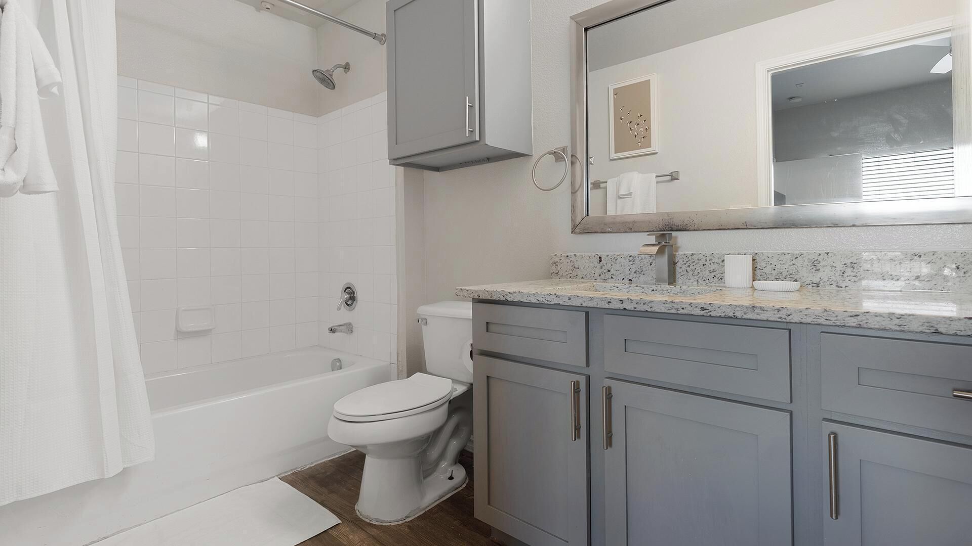 A bathroom with a shower, toilet, and vanity with a mirror.