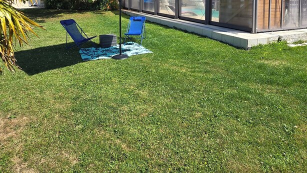 A backyard with a glass enclosure, two blue lawn chairs, a teal umbrella, and a small palm tree. - Villa with private heated pool in Normandy (Treis-Sants-en-Ouche)