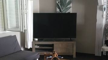 Televisie en een open haard