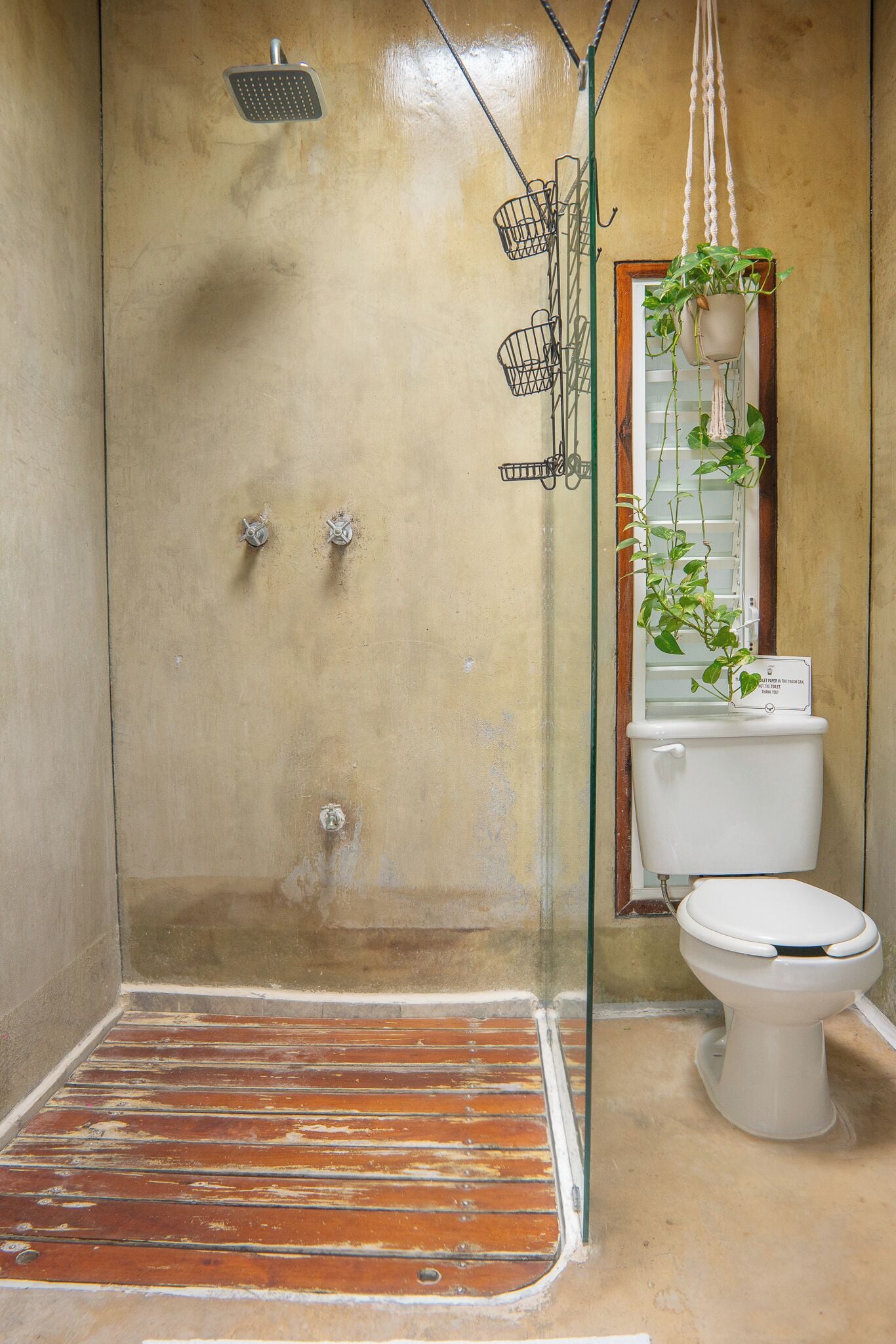 A bathroom with a shower, toilet, and a hanging plant.