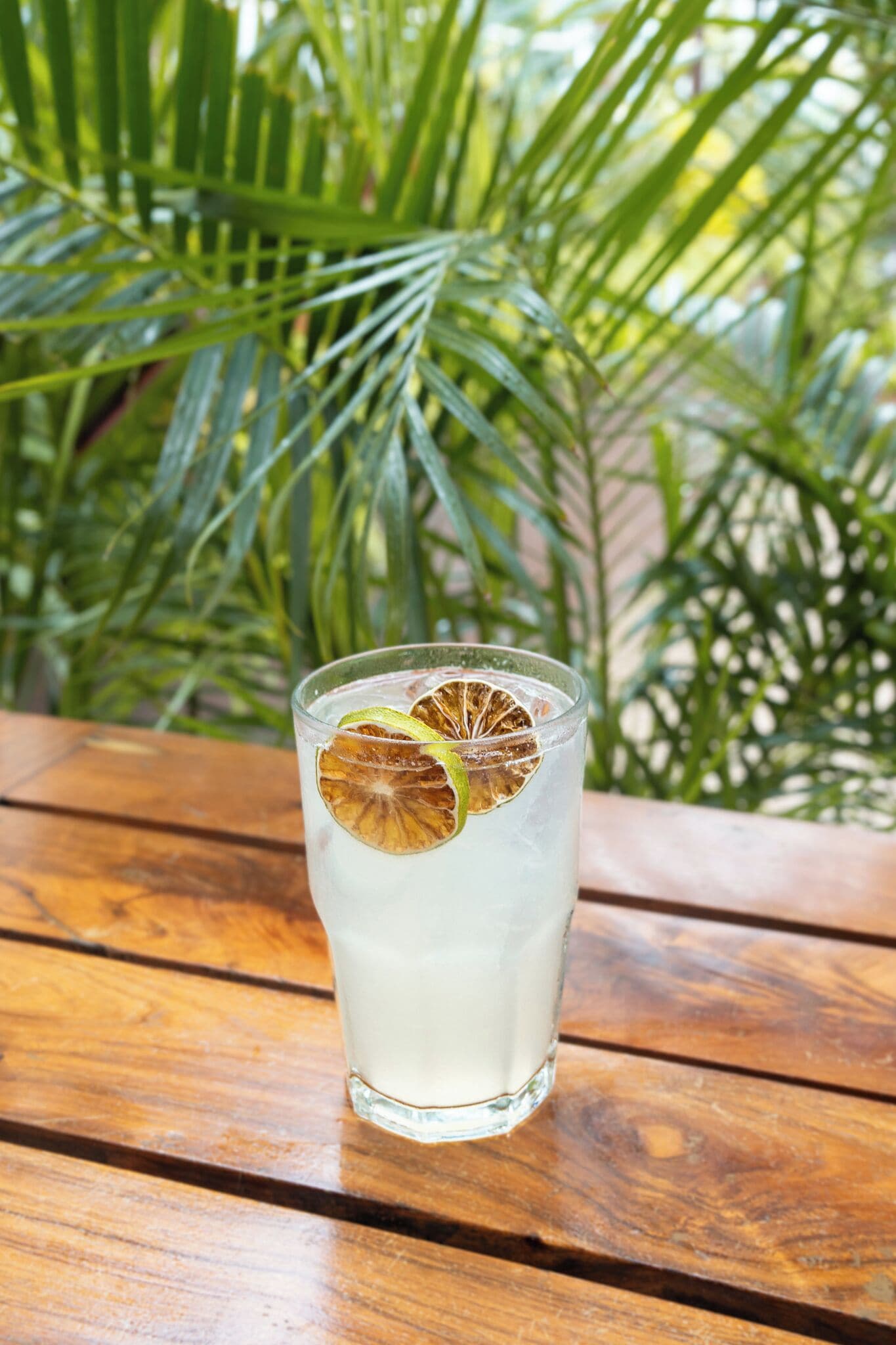 A glass of white beverage with dried lime slices on a wooden table with a green leafy background.