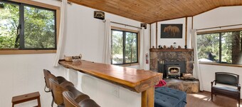 Bear Forest Cabin #2553