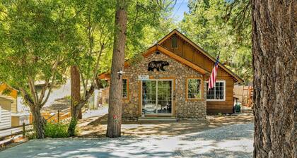 Lily's Bear Cabin #2544