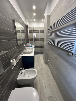 Hair dryer, towels, soap, shampoo