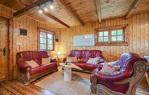 Smart-TV, Kamin