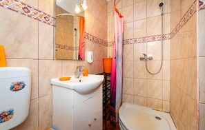 Shower, hair dryer