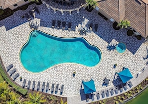 Ein Pool mit ungewöhnlicher Form, umgeben von Liegestühlen und Sonnenschirmen, mit einer gefliesten Terrasse und Palmen.