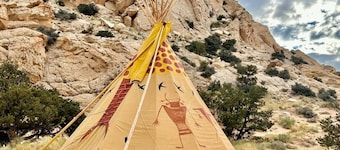 Custom-built tipi, king bed, kitchenette, private bath