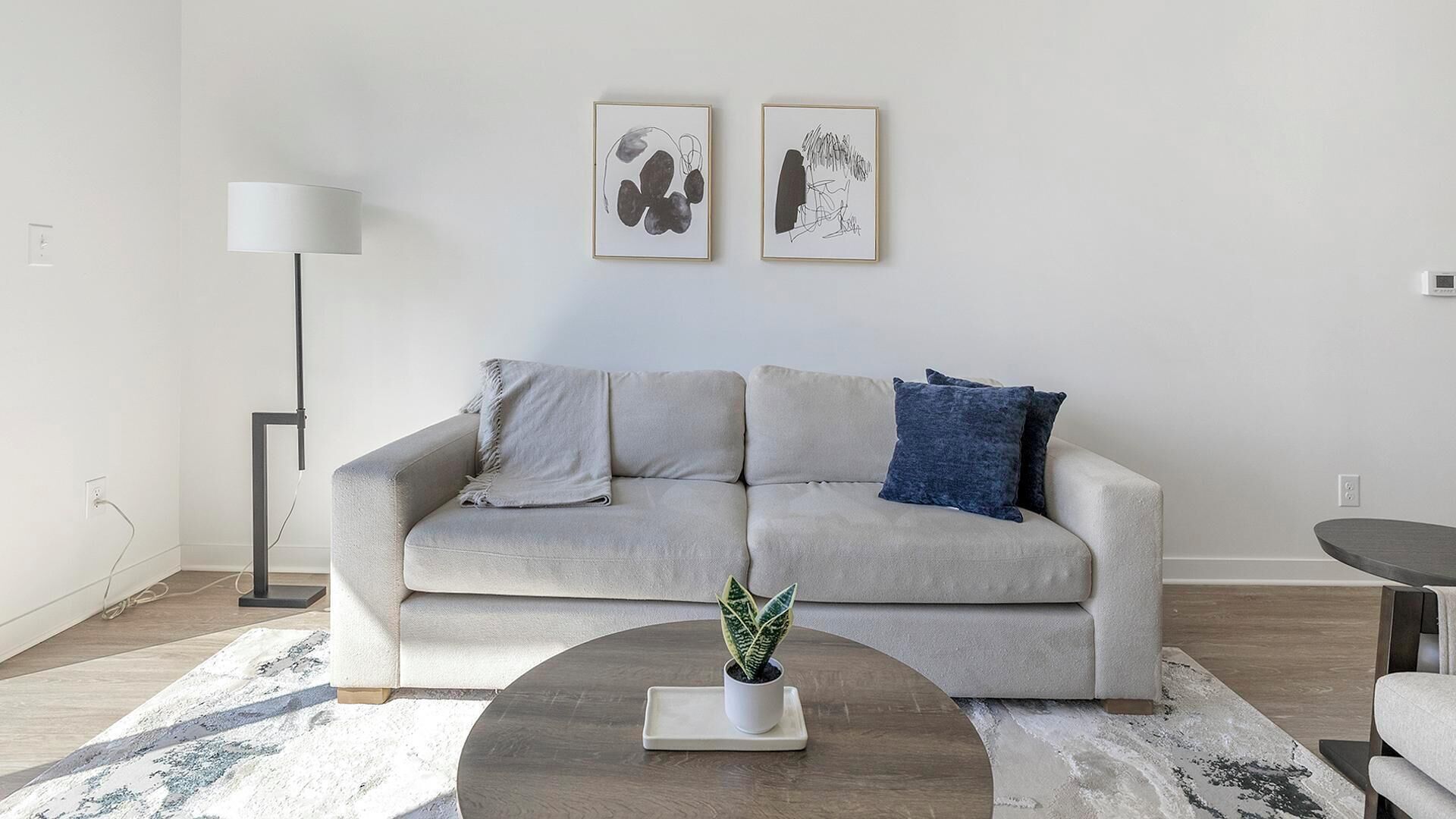 A modern living room with a grey sofa, a round coffee table with a plant, and two abstract paintings on the wall.