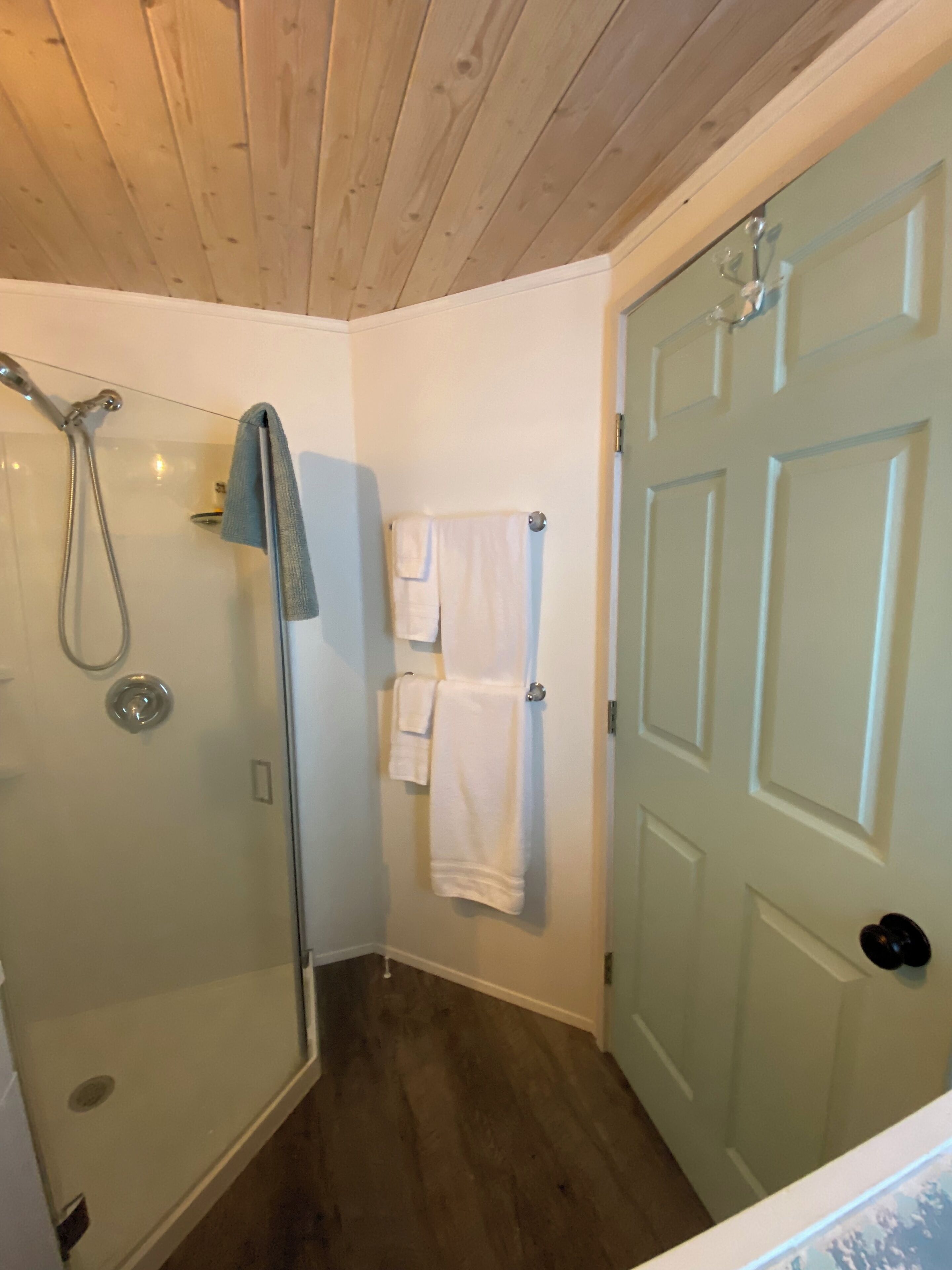 Une salle de bain avec une douche à parois de verre, un plafond en bois et une porte blanche.