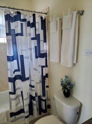 Shower, towels, soap, toilet paper