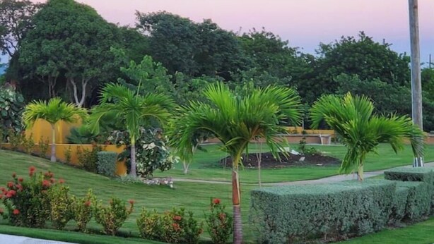 A landscaped garden with manicured lawns, palm trees, and hedges. - Spacious two bedroom home with ocean view, pool and tennis court. (Florence Hall Village)
