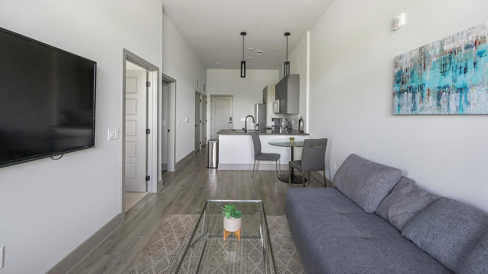 Un salon moderne avec un canapé gris, une table basse agrémentée d’une plante et un téléviseur à écran plat fixé au mur.